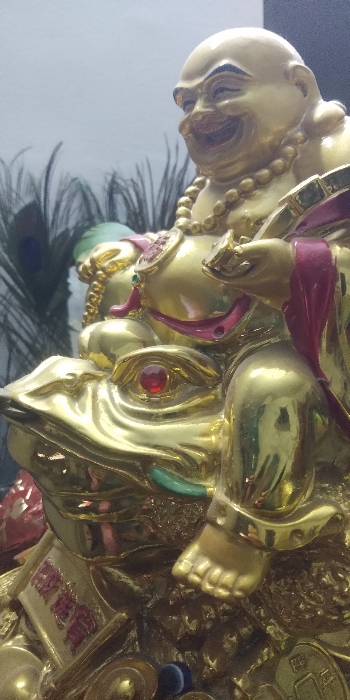 Om KAMADHENU Logistics