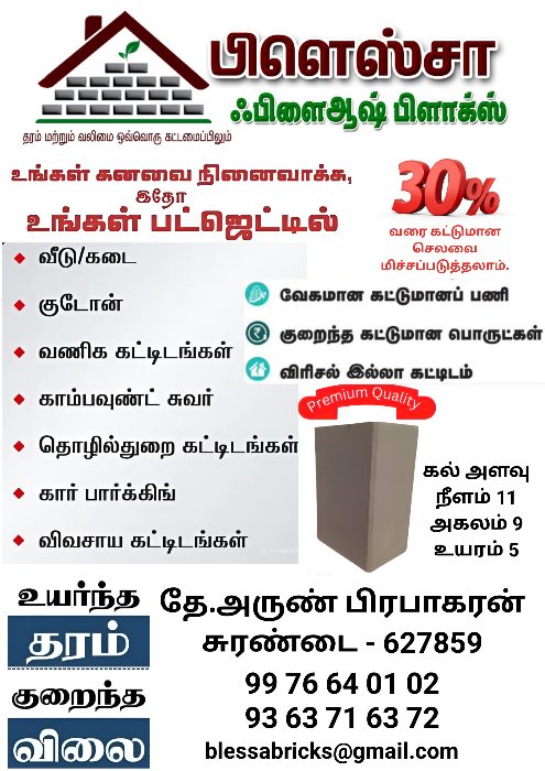 Blessa Flyash Blocks