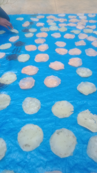 ஹரிணி என்டர்பிரைசஸ்